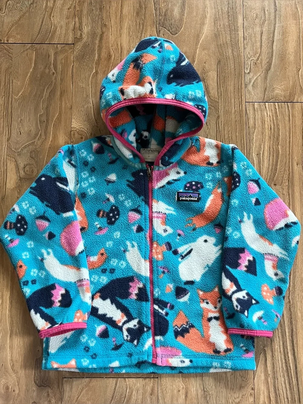 Patagonia Baby Synchilla fleece jacket